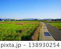 青空と続く一本道 シンプルな田園風景（大阪南部） 138930254