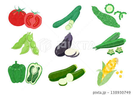 夏野菜の手描き風イラストセット 夏野菜の手描き風イラストセット 138930749