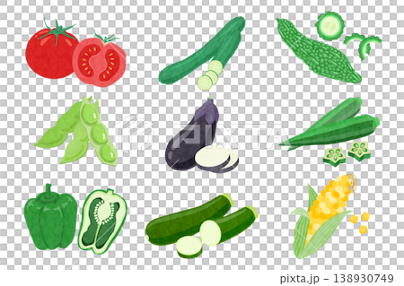 夏野菜の手描き風イラストセット 夏野菜の手描き風イラストセット 138930749