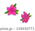 オオムラサキツツジ　つつじ　ピンク　手描き　かわいい　フリー素材 138930771