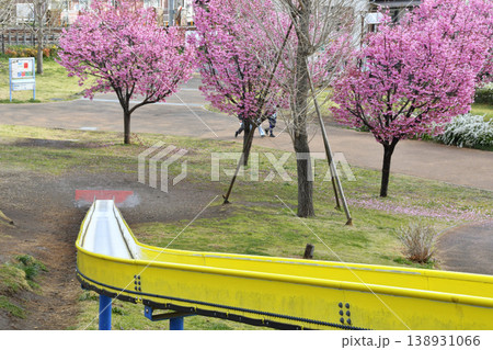 都立東伏見公園_05 都立東伏見公園_05 138931066
