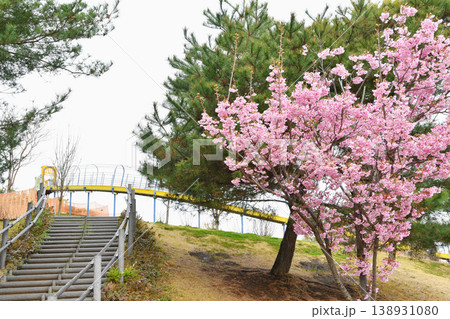 都立東伏見公園_19 都立東伏見公園_19 138931080