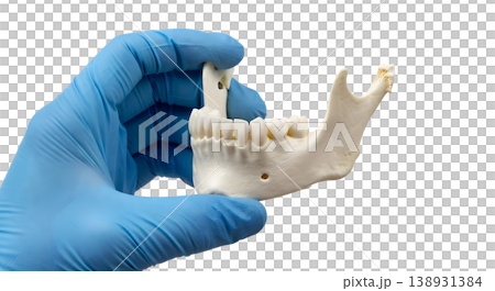 Hand holding a human mandible (lower jawbone) with visible teeth sockets and ramus, isolated on a transparent background, representing dental anatomy and maxillofacial study 138931384