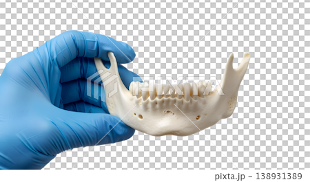 Hand holding a human mandible (lower jawbone) specimen, isolated on transparent background, representing dental anatomy and maxillofacial study 138931389