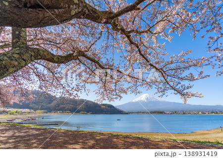 河口湖 桜 富士山 河口湖 桜 富士山 138931419