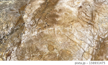奄美大島ホノホシ海岸 自然が刻んだ荒々しい岩肌のテクスチャ－ 138931475