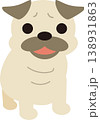 パグ 138931863