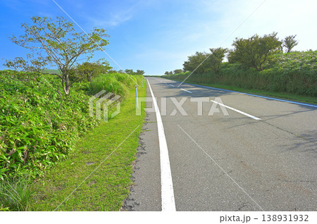 伊豆半島 西伊豆スカイラインを歩く伊豆山稜線歩道 伊豆半島 西伊豆スカイラインを歩く伊豆山稜線歩道 138931932