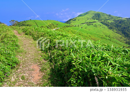 伊豆半島の伊豆山稜線歩道 古稀山 夏の縦走路 伊豆半島の伊豆山稜線歩道 古稀山 夏の縦走路 138931935