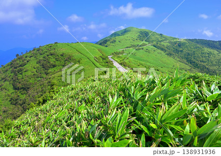 伊豆半島の伊豆山稜線歩道 草原の風景 古稀山山頂より望む達磨山 伊豆半島の伊豆山稜線歩道 草原の風景 古稀山山頂より望む達磨山 138931936