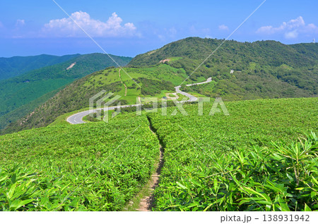 伊豆半島の伊豆山稜線歩道 達磨山より望む夏の金冠山と小達磨山 伊豆半島の伊豆山稜線歩道 達磨山より望む夏の金冠山と小達磨山 138931942
