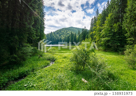 lake in summer mountain landscape. fresh body of water surrounded by coniferous forest. spectacular scenery of synevyr national park on a sunny weather. alpine destination for photo tourism in europe 138931973