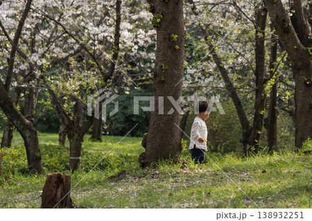 桜の咲く森の公園を歩く子供 138932251