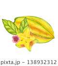 Watercolor starfruit. Averrhoa carambola or Bilimbi. Whole yellow fruit, slices with blooming tree branch, green leaf foliage. Botanical exotic star apple. Hand drawn illustration isolated background 138932312