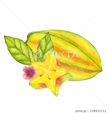 Watercolor starfruit. Averrhoa carambola or Bilimbi. Whole yellow fruit, slices with blooming tree branch, green leaf foliage. Botanical exotic star apple. Hand drawn illustration isolated background Watercolor starfruit. Averrhoa carambola or Bilimbi. Whole yellow fruit, slices with blooming tree branch, green leaf foliage. Botanical exotic star apple. Hand drawn illustration isolated background 138932312