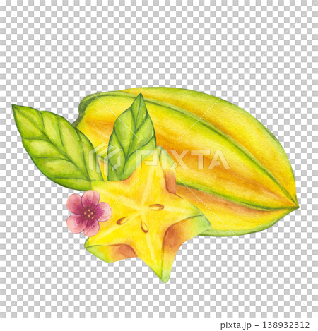 Watercolor starfruit. Averrhoa carambola or Bilimbi. Whole yellow fruit, slices with blooming tree branch, green leaf foliage. Botanical exotic star apple. Hand drawn illustration isolated background 138932312