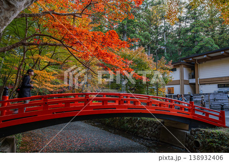 森町の遠江国一宮小國神社の紅葉と一宮川に架かる赤い橋の風景(静岡県) 森町の遠江国一宮小國神社の紅葉と一宮川に架かる赤い橋の風景(静岡県) 138932406