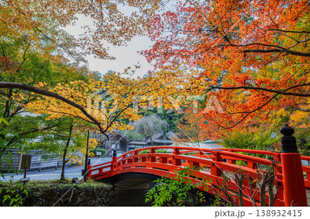 森町の遠江国一宮小國神社の紅葉と一宮川に架かる赤い橋の風景(静岡県) 森町の遠江国一宮小國神社の紅葉と一宮川に架かる赤い橋の風景(静岡県) 138932415
