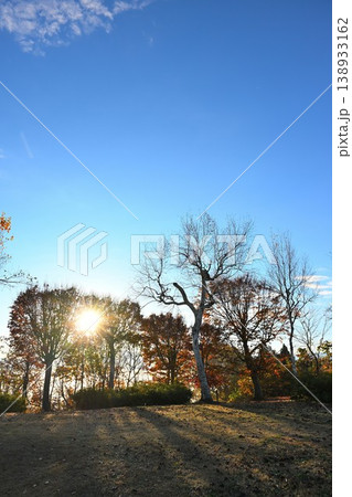 朝の山本山高原に広がる紅葉と雲海の風景（新潟県小千谷市） 138933162
