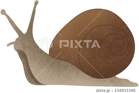 brown garden snail brown garden snail 138933386