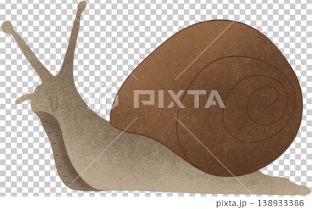 snail, animal, slow life 138933386