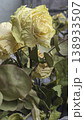 Dried yellow roses in the trash can, discarded dried flowers. Wilting, dead wood 138933507