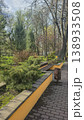 A park area with conifers blooming apricots birches, and other flowers. renewal. 138933508