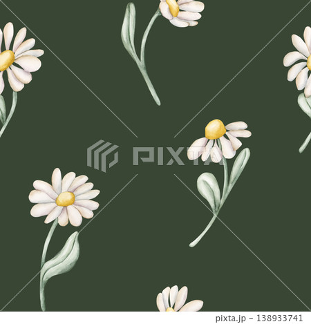 Cute Daisy Chamomile Flowers Seamless Pattern. Wildflowers Watercolor summer spring floral illustration hand painted isolated on dark green background for nursery baby kids design fresh fabric textile Cute Daisy Chamomile Flowers Seamless Pattern. Wildflowers Watercolor summer spring floral illustration hand painted isolated on dark green background for nursery baby kids design fresh fabric textile 138933741