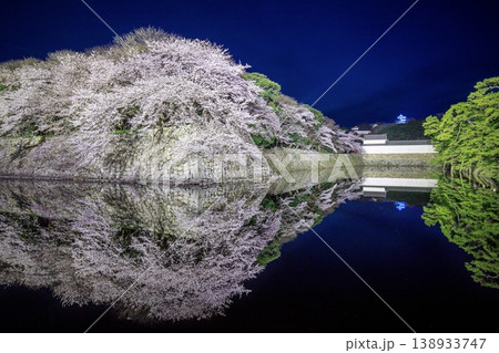 彦根市、彦根城の中堀に映る満開の夜桜 138933747