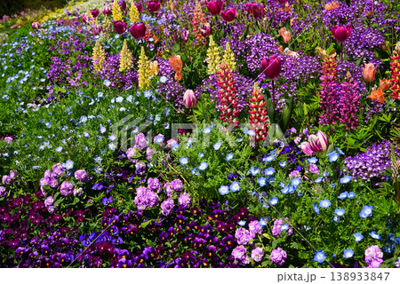 春の花で埋まる里山ガーデン 138933847