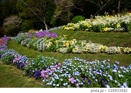 春の花で埋まる里山ガーデン 138933882