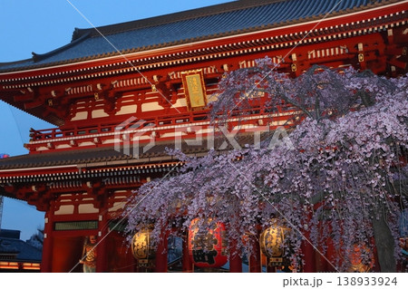 満開の桜と浅草寺宝蔵門　東京の観光地　 138933924
