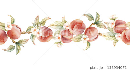 Pink Peaches with Flowers Seamless Border Summer Juicy Ripe Fruits. Watercolor hand drawn floral food illustration isolated on white background for home kitchen textile fresh print cosmetic package 138934071