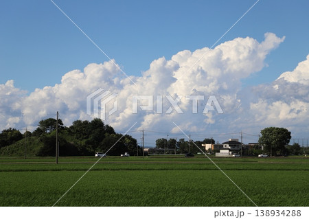 夏の田園風景・埼玉県行田市中里地内 夏の田園風景・埼玉県行田市中里地内 138934288