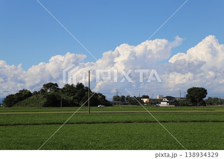 夏の田園風景・埼玉県行田市中里地内 夏の田園風景・埼玉県行田市中里地内 138934329