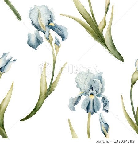 Blue Iris Seamless Pattern Spring Bulb Flowers. Watercolor hand drawn floral illustration isolated on white background Easter design textile fresh fabric print card cosmetic package porcelain crockery 138934395