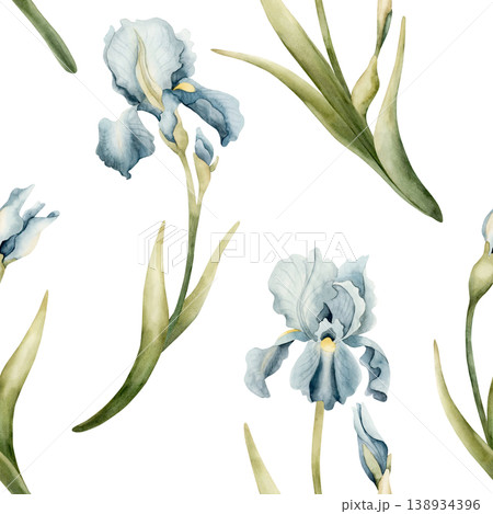 Blue Iris Seamless Pattern Spring Bulb Flowers. Watercolor hand drawn floral illustration isolated on white background Easter design textile fresh fabric print card cosmetic package porcelain crockery 138934396