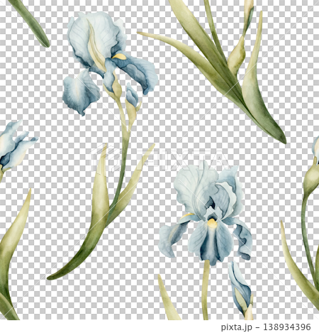 Blue Iris Seamless Pattern Spring Bulb Flowers. Watercolor hand drawn floral illustration isolated on white background Easter design textile fresh fabric print card cosmetic package porcelain crockery 138934396