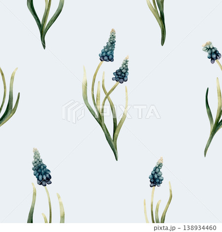 Blue Muscari Seamless Pattern Spring Bulb Flowers. Watercolor hand drawn floral illustration isolated on light blue background Easter Woman's day design textile fresh print cosmetic package crockery Blue Muscari Seamless Pattern Spring Bulb Flowers. Watercolor hand drawn floral illustration isolated on light blue background Easter Woman's day design textile fresh print cosmetic package crockery 138934460