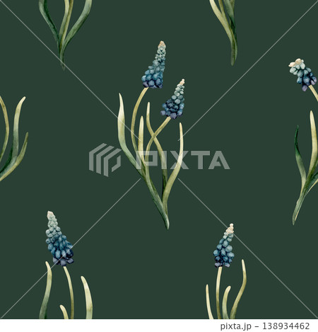 Blue Muscari Seamless Pattern Spring Bulb Flowers. Watercolor hand drawn floral illustration isolated on green background for Easter Woman's day design textile fresh print cosmetic package crockery Blue Muscari Seamless Pattern Spring Bulb Flowers. Watercolor hand drawn floral illustration isolated on green background for Easter Woman's day design textile fresh print cosmetic package crockery 138934462