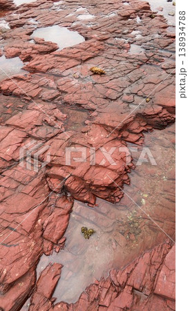 Layered deep red sedimentary rock formations with fractures and water pools in the seaside which is a remote coastal spots in Hung Shek Mun (Red Stone Gate), Plover Cove Country Park, Hong Kong Layered deep red sedimentary rock formations with fractures and water pools in the seaside which is a remote coastal spots in Hung Shek Mun (Red Stone Gate), Plover Cove Country Park, Hong Kong 138934788