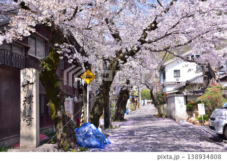 京都・山科・六角堂横の桜と京阪京津線の踏切 京都・山科・六角堂横の桜と京阪京津線の踏切 138934808