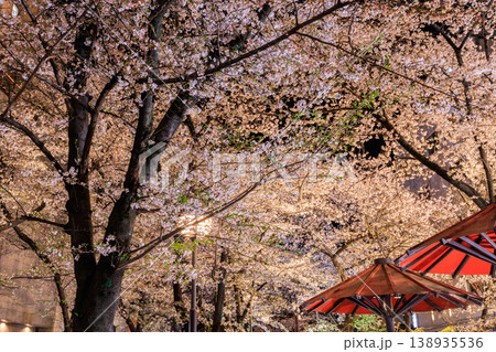 京都の祇園白川の桜ライトアップ (京都府京都市東山区) 京都の祇園白川の桜ライトアップ (京都府京都市東山区) 138935536