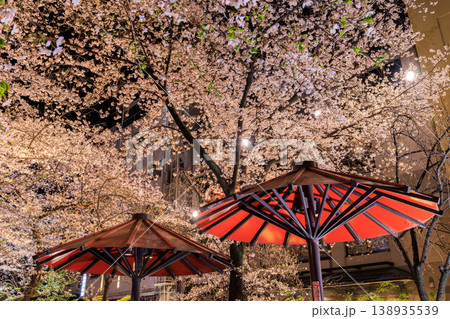 京都の祇園白川の桜ライトアップ (京都府京都市東山区) 138935539