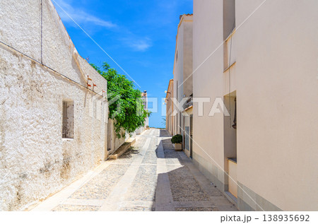 Tabarca Island Nueva Tabarca Isla Plana village town Tabarca Island Nueva Tabarca Isla Plana village town 138935692