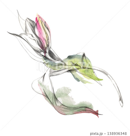 Elegant tulip blossom sketch with expressive watercolor petals and romantic feel, outline hand drawn in pencil. Bridal shower stationery, spring wedding decor, floral packaging, journaling prints. Elegant tulip blossom sketch with expressive watercolor petals and romantic feel, outline hand drawn in pencil. Bridal shower stationery, spring wedding decor, floral packaging, journaling prints. 138936348