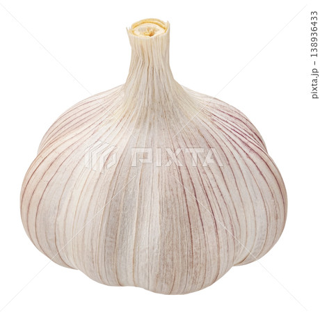 One garlic bulb isolated on white background with clipping path 138936433