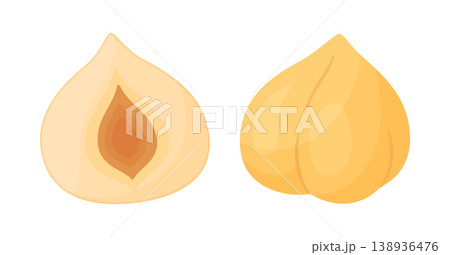 Hazelnut kernels, one whole smooth nut and half. trendy flat style isolated 138936476