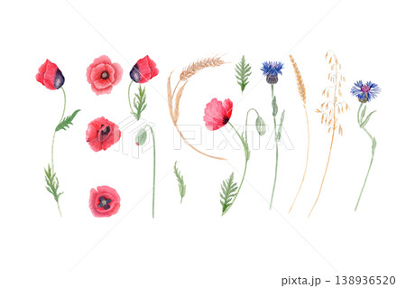 Wildflowers watercolor set with red poppy, cornflower, wheat, oats, buds and leaves. Botanical meadow floral elements isolated on white perfect for design, print, packaging, cards, invitations, decor Wildflowers watercolor set with red poppy, cornflower, wheat, oats, buds and leaves. Botanical meadow floral elements isolated on white perfect for design, print, packaging, cards, invitations, decor 138936520