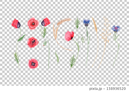 Wildflowers watercolor set with red poppy, cornflower, wheat, oats, buds and leaves. Botanical meadow floral elements isolated on white perfect for design, print, packaging, cards, invitations, decor Wildflowers watercolor set with red poppy, cornflower, wheat, oats, buds and leaves. Botanical meadow floral elements isolated on white perfect for design, print, packaging, cards, invitations, decor 138936520